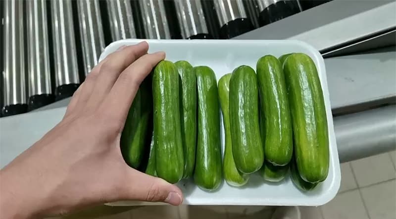 images/1712653050783fruit cucucmber.jpg